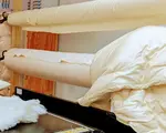 Organic Cotton Sateen Fabric by the Yard in NATURAL 112" Wide 4 oz.